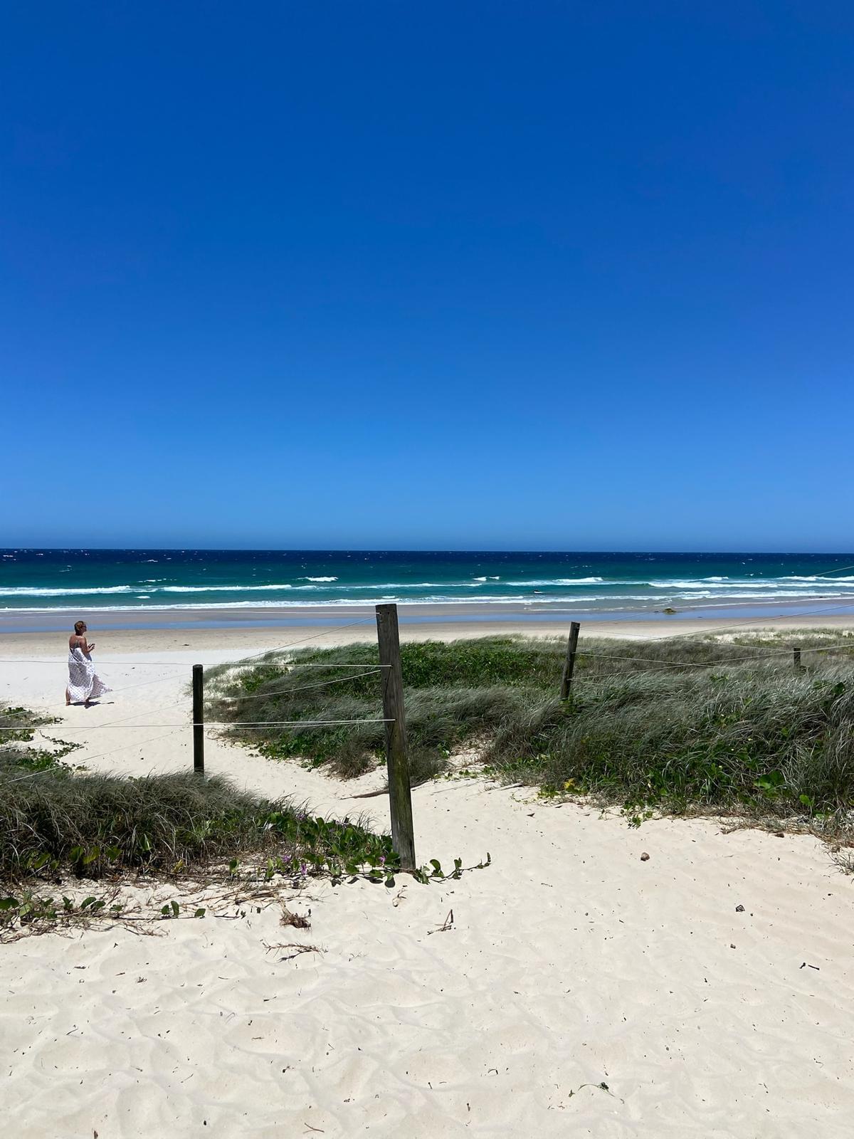 Discover the hidden Gold Coast: A unique day trip from Brisbane filled with swimming, surf & natural discoveries - Image 7