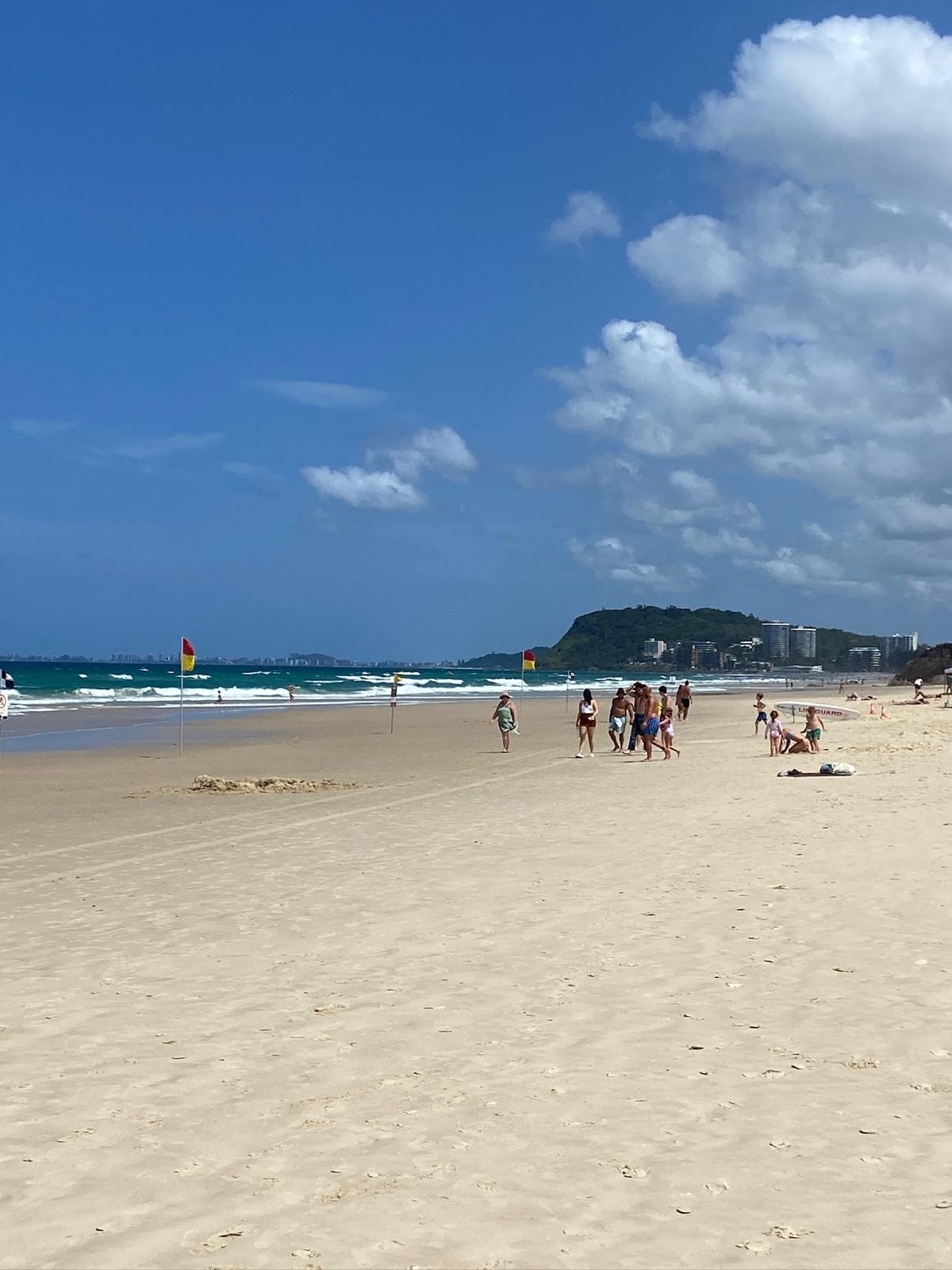Discover the hidden Gold Coast: A unique day trip from Brisbane filled with swimming, surf & natural discoveries - Image 4