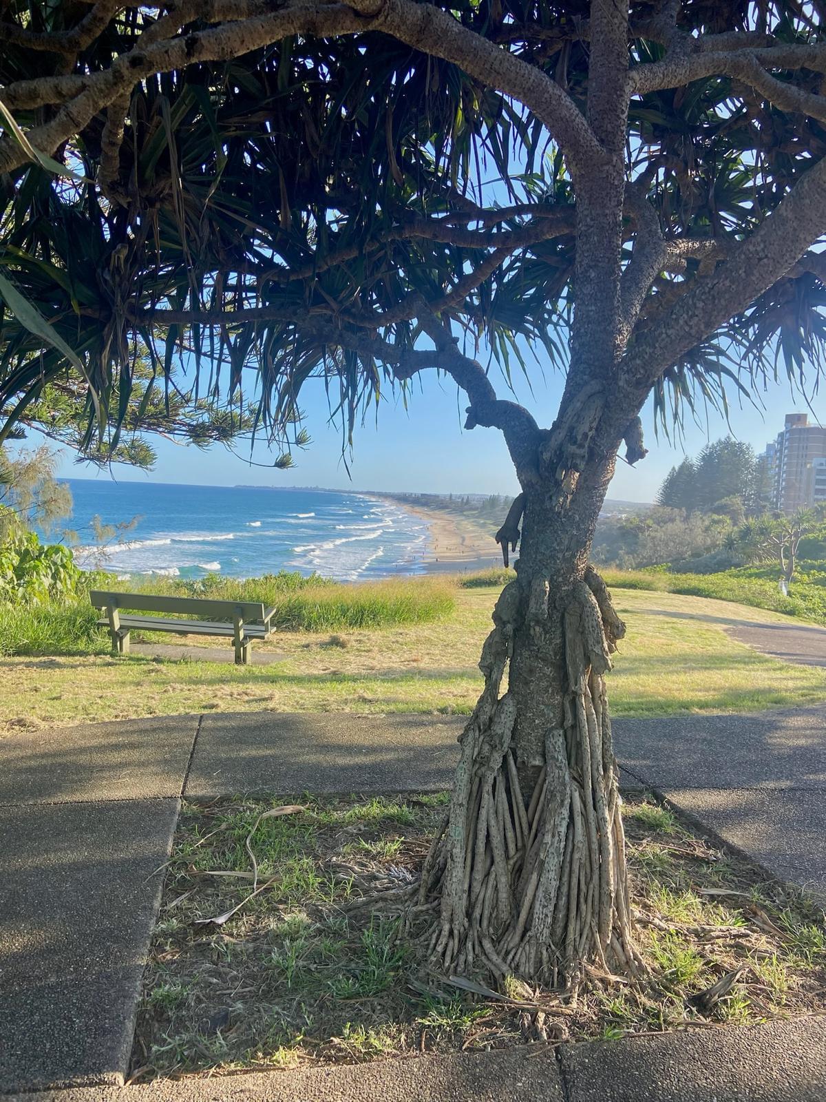 Byron Magic — from secluded beaches to the iconic Lighthouse view - Image 9